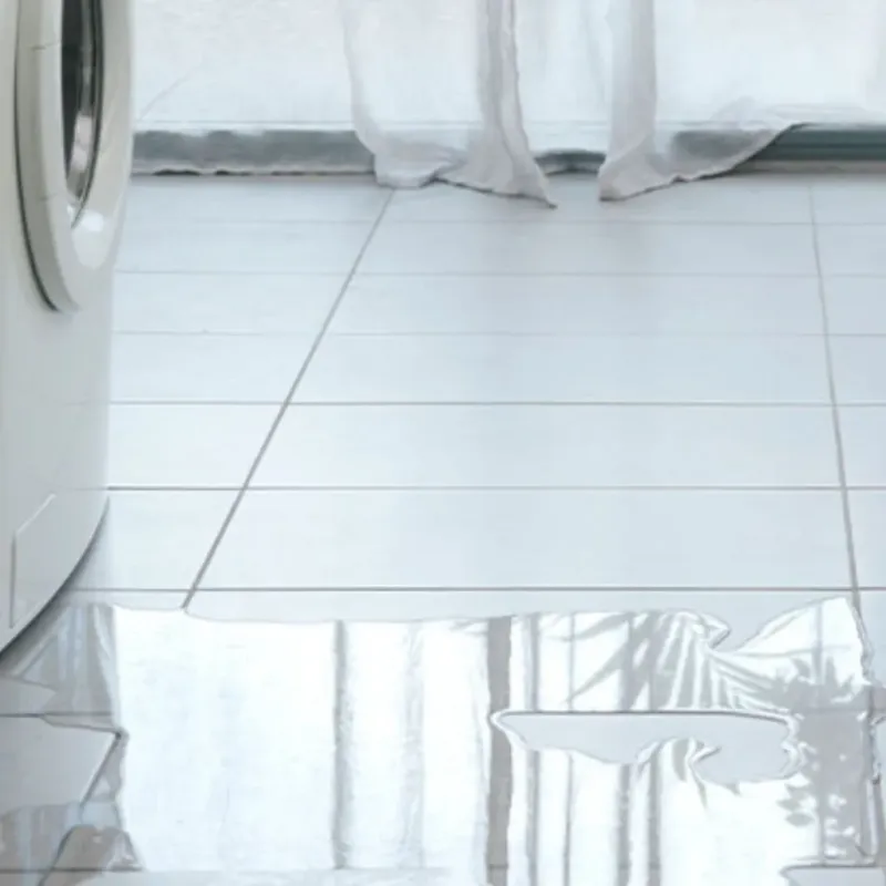 Appliance Leak Cleanup in Winston, OR