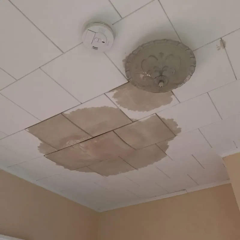 Ceiling Water Damage Repair in Winston, OR