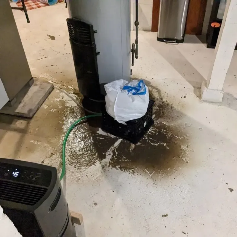Sewage Backup Cleanup Service in Winston, OR